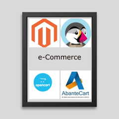 eCommerce Project (starter)
