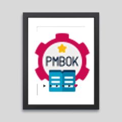 PMBOK Project Mgnt