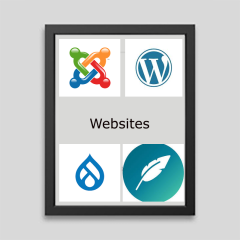 Website development (basic)